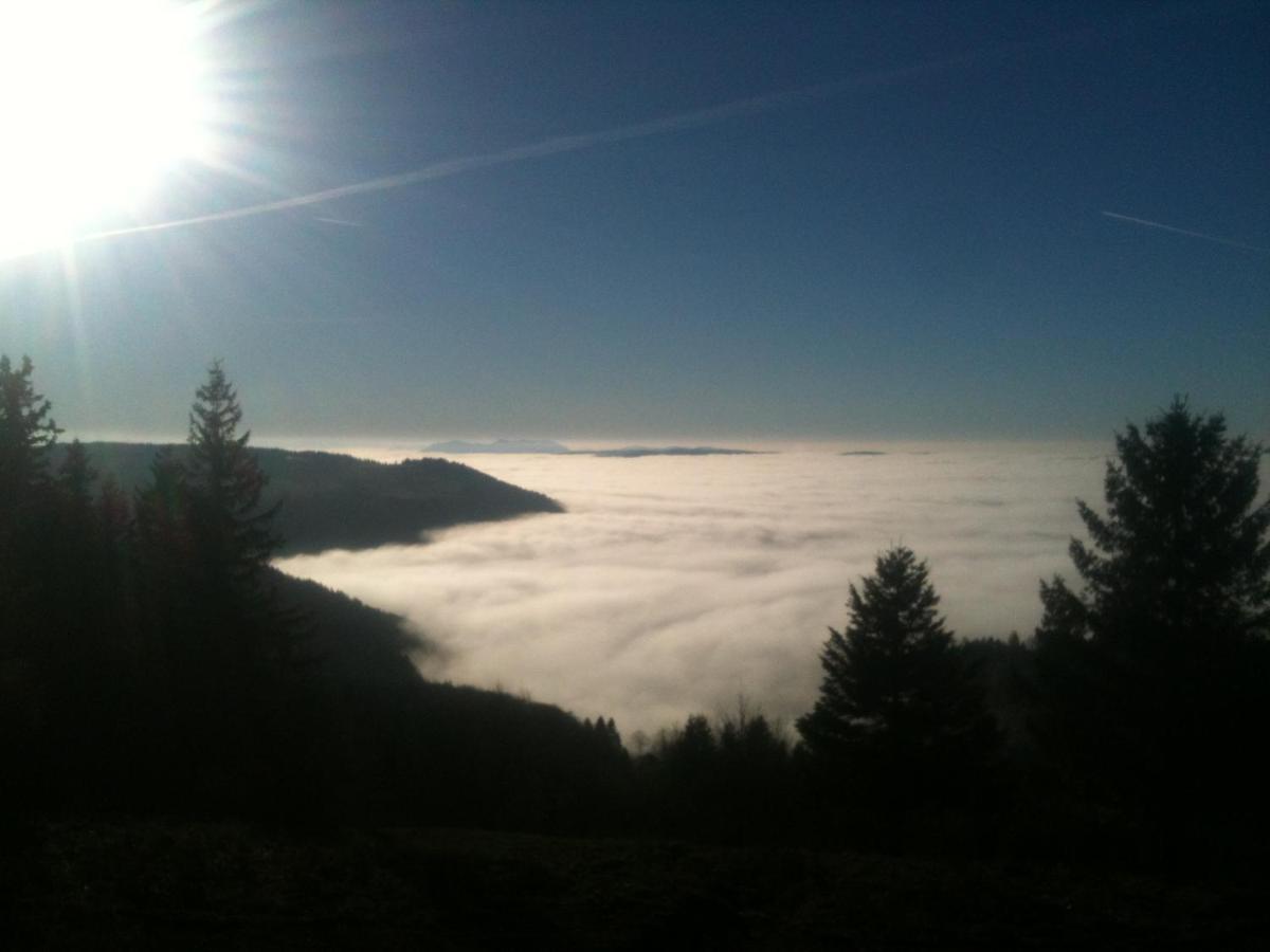 Les Gites De La Serva - Champ Du Feu - Montagnes- Vosges Belmont  Екстер'єр фото