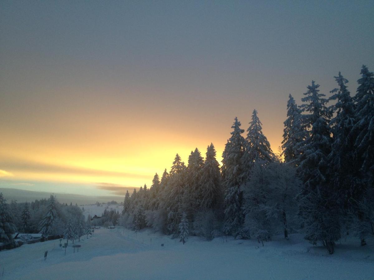 Les Gites De La Serva - Champ Du Feu - Montagnes- Vosges Belmont  Екстер'єр фото