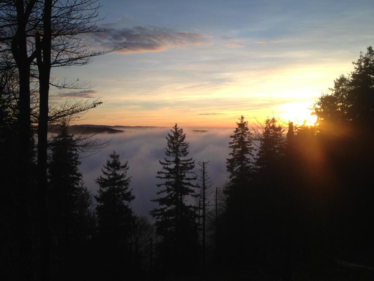 Les Gites De La Serva - Champ Du Feu - Montagnes- Vosges Belmont  Екстер'єр фото