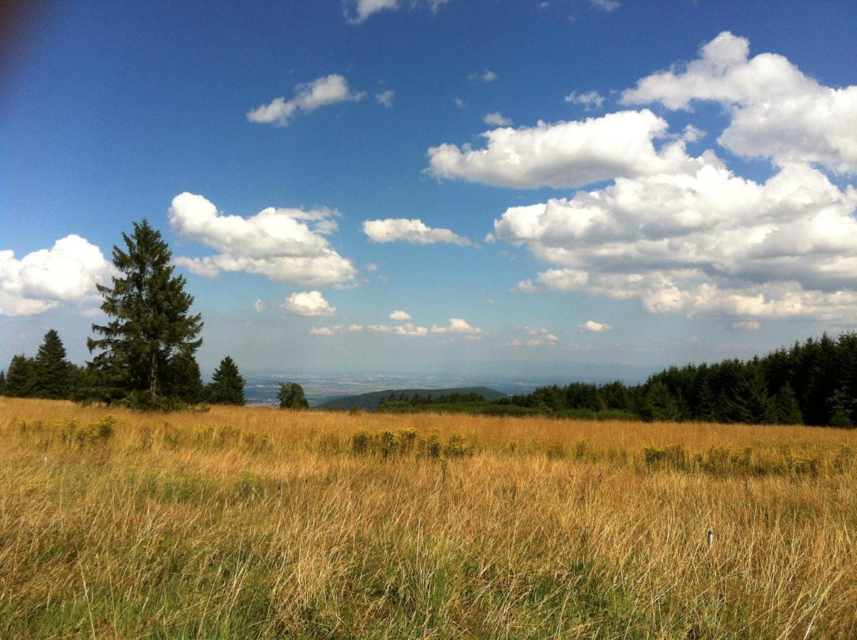 Les Gites De La Serva - Champ Du Feu - Montagnes- Vosges Belmont  Екстер'єр фото